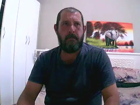 palmview2 online show from 1, 3, 2026