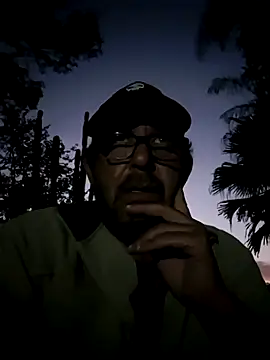 palmview2 online show from 25, 5, 2026
