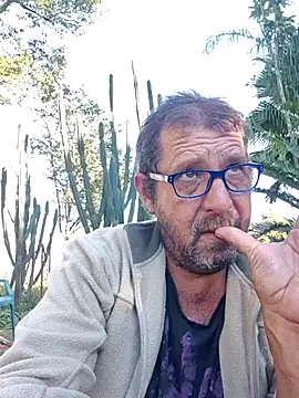 palmview2 online show from 1, 6, 2026