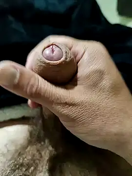 Snapshot of jim41 chatting on 3, 3, 2026 jim41 online show from 3, 3, 2026