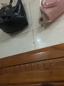 Snapshot of Liness101 chatting on 4, 2, 2026 Liness101 online show from 4, 2, 2026