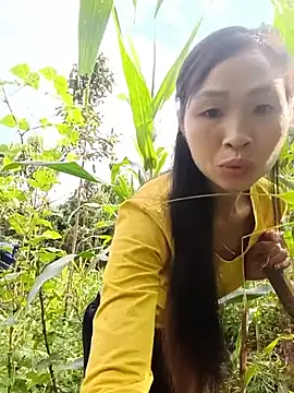 xiaogoal online show from 5, 7, 2026