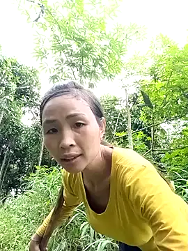 xiaogoal online show from 14, 7, 2026