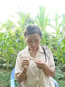 xiaogoal online show from 20, 7, 2026
