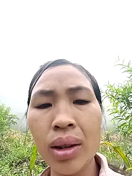 xiaogoal online show from 22, 7, 2026