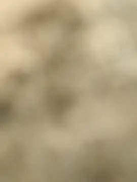 Snapshot of Pagelboy_089 chatting on 15, 2, 2026 Pagelboy 089 online show from 15, 2, 2026