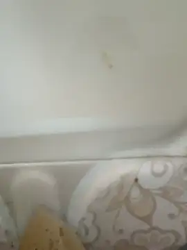 Snapshot of Pagelboy_089 chatting on 19, 2, 2026 Pagelboy 089 online show from 19, 2, 2026