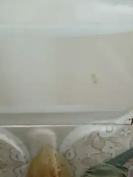 Snapshot of Pagelboy_089 chatting on 19, 3, 2026 Pagelboy 089 online show from 19, 3, 2026