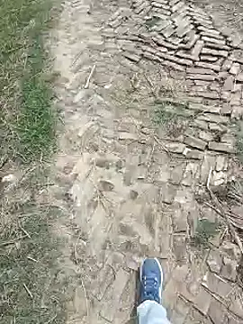 Snapshot of Pagelboy_089 chatting on 27, 3, 2026 Pagelboy 089 online show from 27, 3, 2026