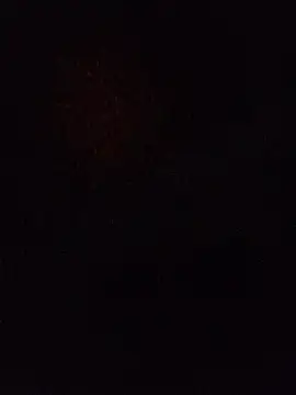 sunshine0000 online show from 1, 8, 2026