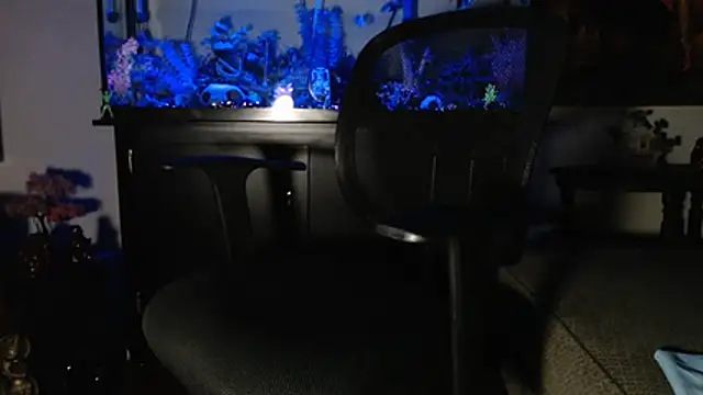 Snapshot of EspanolVato chatting on 10, 1, 2026 EspanolVato online show from 10, 1, 2026