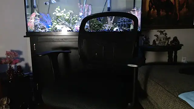 Snapshot of EspanolVato chatting on 14, 1, 2026 EspanolVato online show from 14, 1, 2026