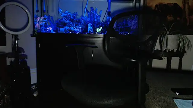 Snapshot of EspanolVato chatting on 19, 2, 2026 EspanolVato online show from 19, 2, 2026