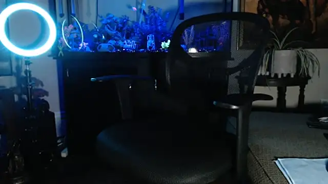 Snapshot of EspanolVato chatting on 21, 2, 2026 EspanolVato online show from 21, 2, 2026