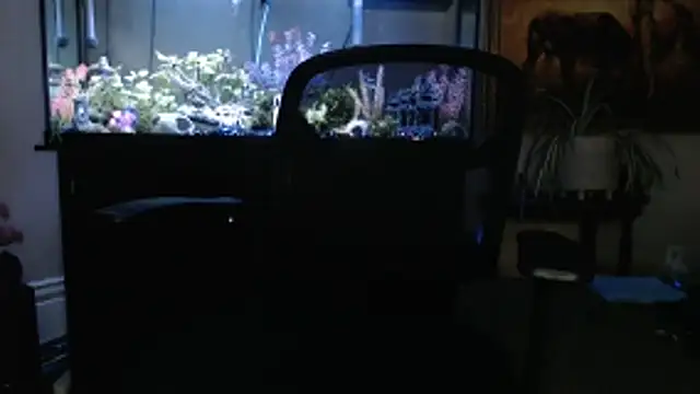 Snapshot of EspanolVato chatting on 5, 3, 2026 EspanolVato online show from 5, 3, 2026