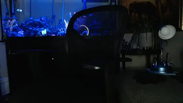 Snapshot of EspanolVato chatting on 18, 3, 2026 EspanolVato online show from 18, 3, 2026