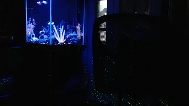 EspanolVato online show from 23, 6, 2026
