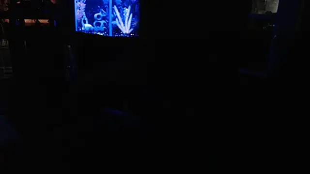 EspanolVato online show from 4, 7, 2026