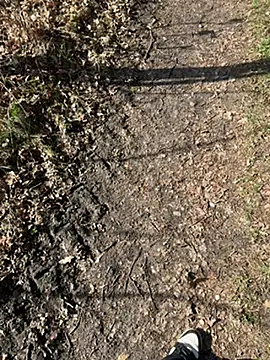 Nickwichst online show from 12, 3, 2026