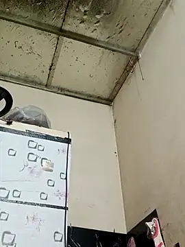 Sana-vn online show from 1, 3, 2026