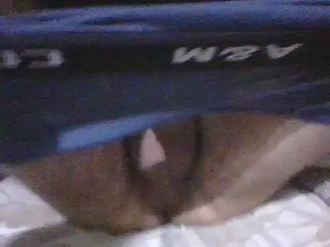 kemo2087 online show from 2, 4, 2026