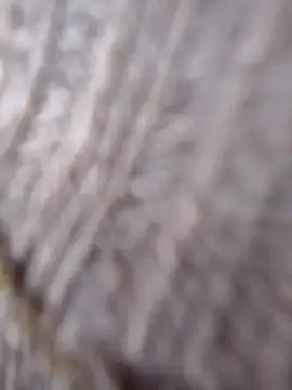 Snapshot of Cataleya_16 chatting on 15, 3, 2026 Cataleya 16 online show from 15, 3, 2026