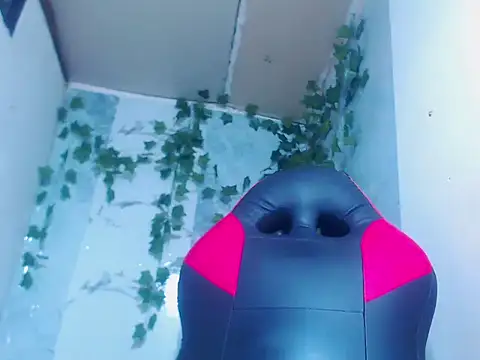 Snapshot of Negri_hot_crazy chatting on 12, 2, 2026 Negri hot crazy online show from 12, 2, 2026