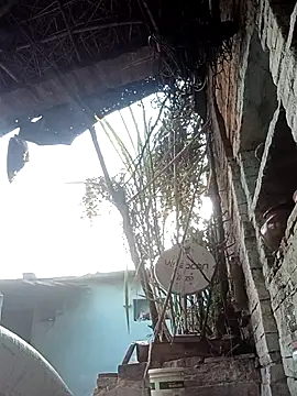 Snapshot of Hasmi_hot09 chatting on 2, 3, 2026 Hasmi hot09 online show from 2, 3, 2026