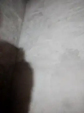 Snapshot of miray- chatting on 8, 3, 2026 miray- online show from 8, 3, 2026