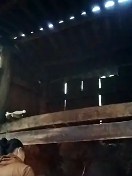 Snapshot of miray- chatting on 13, 3, 2026 miray- online show from 13, 3, 2026