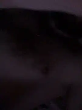 Di717 online show from 23, 3, 2026