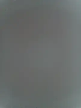 PatriciaGrajales online show from 1, 5, 2026