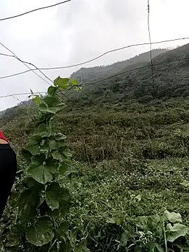 Snapshot of Mimi_sweet1 chatting on 21, 3, 2026 Mimi sweet1 online show from 21, 3, 2026