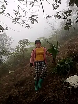 cdyyds-69 online show from 15, 1, 2026