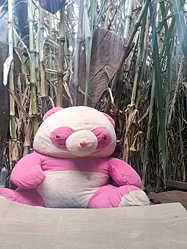 Snapshot of leona118 chatting on 11, 2, 2026 leona118 online show from 11, 2, 2026