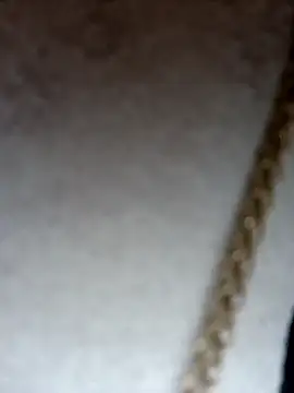 Dante Knox online show from 8, 2, 2026