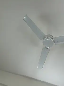 Snapshot of Cutenikkibaby chatting on 23, 2, 2026 Cutenikkibaby online show from 23, 2, 2026