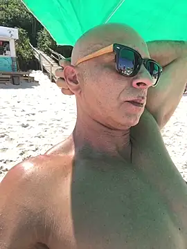 dogfrota online show from 12, 2, 2026