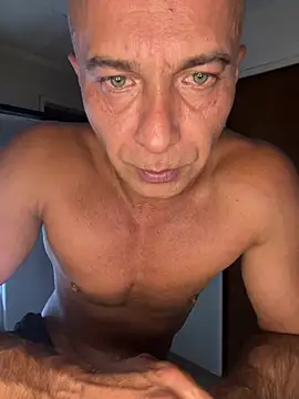 dogfrota online show from 10, 3, 2026