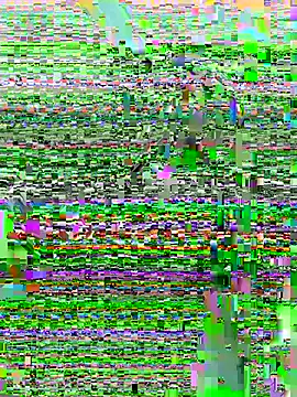 DouDou-- online show from 23, 6, 2026