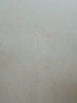 Lyly-68688 online show from 30, 7, 2026
