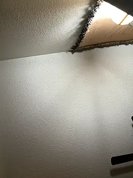 Snapshot of JoeyBlazy chatting on 12, 1, 2026 JoeyBlazy online show from 12, 1, 2026