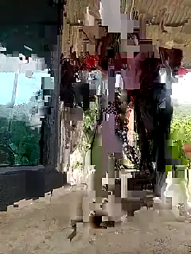 Snapshot of -Likin- chatting on 16, 3, 2026 -Likin- online show from 16, 3, 2026