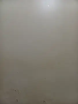 PatriciaVen online show from 4, 2, 2026