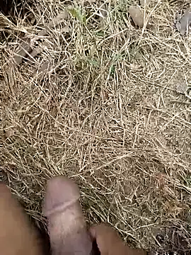 ankit barma009 online show from 3, 2, 2026