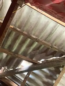 Suny-sexy online show from 20, 3, 2026