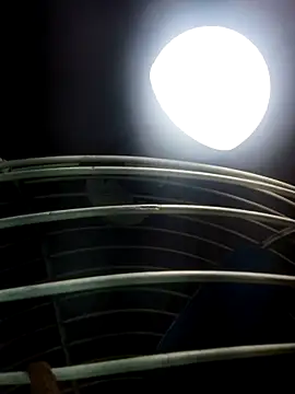 cutee Baby angel online show from 20, 2, 2026