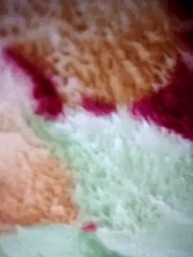 Snapshot of Joker12085 chatting on 18, 2, 2026 Joker12085 online show from 18, 2, 2026