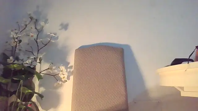 Dolcezzastella online show from 1, 3, 2026