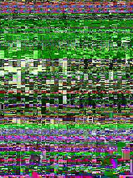 Snapshot of noynxz chatting on 8, 7, 2026 noynxz online show from 8, 7, 2026